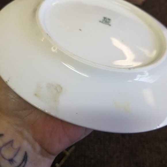 Vintage J&C Bavaria Small Hand-Painted Plate Signed A. Koch Artist Grapes Fruit - Picture 7 of 7